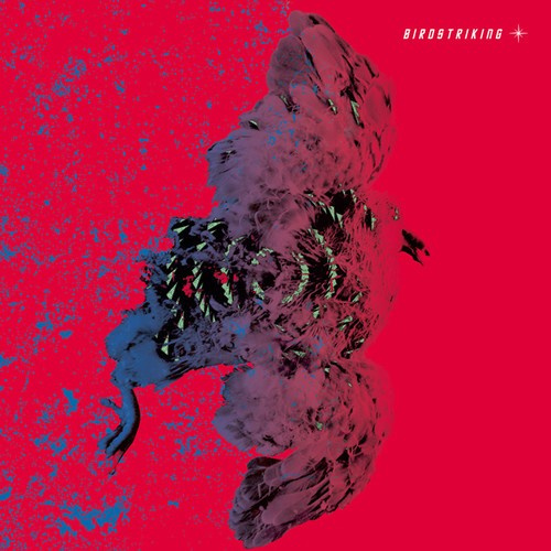 Birdstriking - Birdstriking