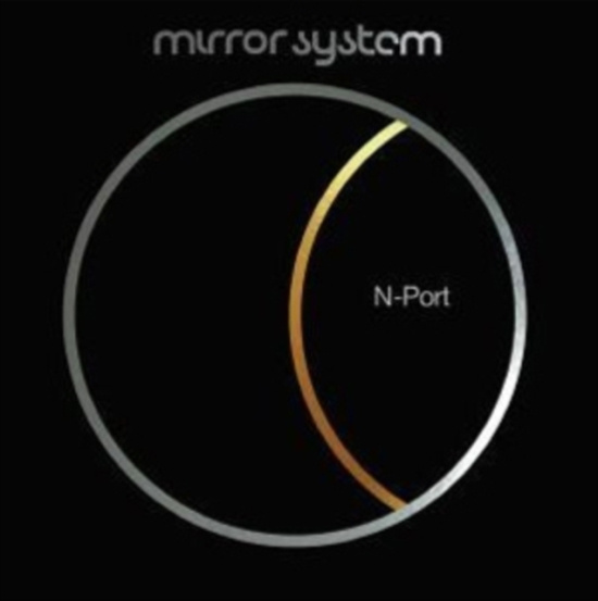 Mirror System - N-Port