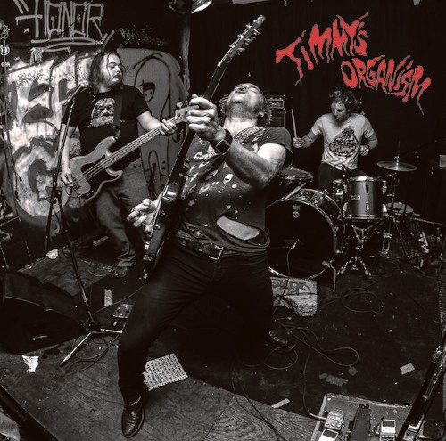 Timmy's Organism - Get Up, Get Out