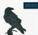Grant James - Strange Flowers Grant James - Strange Flowers