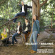 Brahms Johannes / Mozart W A - String Quintets Brahms Johannes / Mozart W A - String Quintets