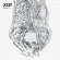 Zip - Fabric 67 : Zip - Fabric 67 :