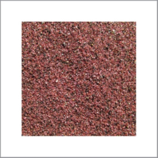 Laplante Travis & Peter Evans - Secret Meeting