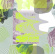 Yeti Lane - L'aurore Yeti Lane - L'aurore