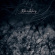 Fifth To Infinity - Omnipotent Transdimensional Soulfir Fifth To Infinity - Omnipotent Transdimensional Soulfir