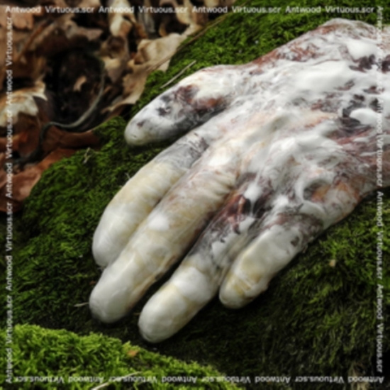 Antwood - Virtuous.Scr.