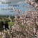 Mozart W A - Piano Sonatas Mozart W A - Piano Sonatas