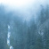 Wolves In The Throne Room - Diadem Of 12 Stars Wolves In The Throne Room - Diadem Of 12 Stars