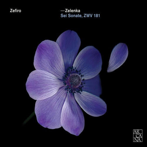 Zelenka J D - Trio Sonatas Nos. 1-6