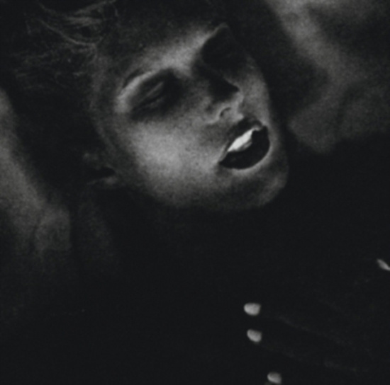 Schnellertoller Meier - X