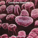 Controlled Bleeding - Body Samples Controlled Bleeding - Body Samples
