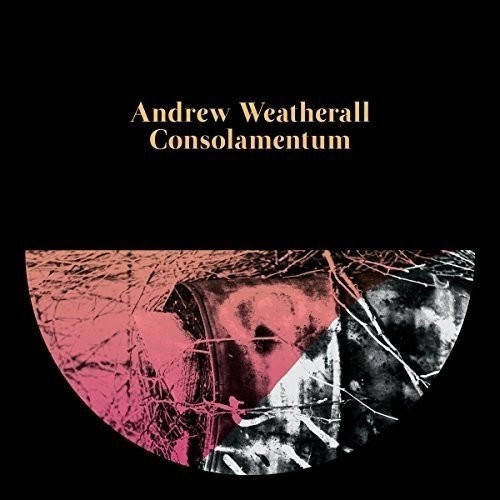 Weatherall Andrew - Consolamentum