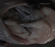 Croatian Amor - Love Means Taking Action Croatian Amor - Love Means Taking Action