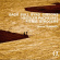 Leonhardt Gustav - Bach, Bull, Byrd, Gibbons, Hassler, Leonhardt Gustav - Bach, Bull, Byrd, Gibbons, Hassler,