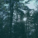 Ashbringer - Vacant Ashbringer - Vacant