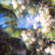 Altars Altars - Small Hours Altars Altars - Small Hours