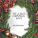 Albion Christmas Band - Traditional Albion Christmas Band - Traditional