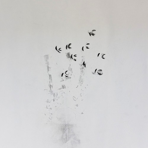 Ikeda Ken + David Toop - Skin Tones