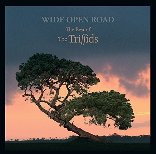 Triffids - Wide Open RoadBest Of
