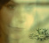 Whiteley Jenny - Dear Whiteley Jenny - Dear