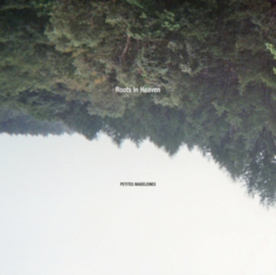 Roots In Heaven - Petites Madeleines