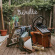 Slaughter Beach Dog - Birdie Slaughter Beach Dog - Birdie