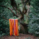 Holden James & The - Animal Spirits Holden James & The - Animal Spirits