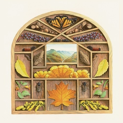 Louise Sarah - Field Guide