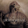 PRIMORDIAL - EXILE AMONGST THE RUINS PRIMORDIAL - EXILE AMONGST THE RUINS