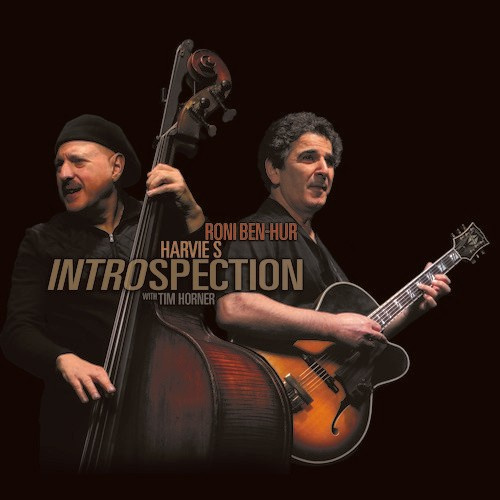 Ben-Hur Roni & Harvie S - Introspection