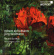 Schumann Robert Widmann Jörg - Fleurs Du Mal Schumann Robert Widmann Jörg - Fleurs Du Mal