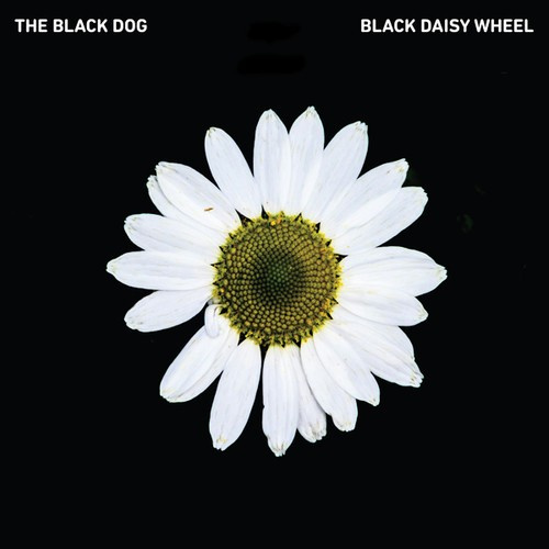 Black Dog - Black Daisy Wheel