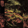 Hissing - Permanent Destitution Hissing - Permanent Destitution