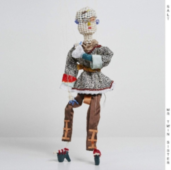 Mr Twin Sister - Salt