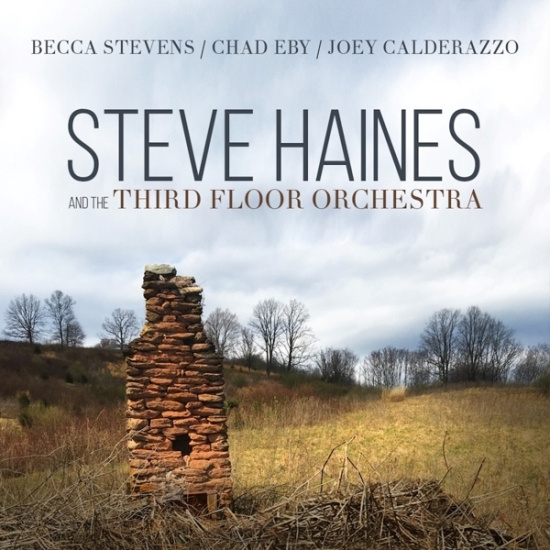 Steve Haines And The Third Flo - Steve Haines And The Third Floor Orchestra