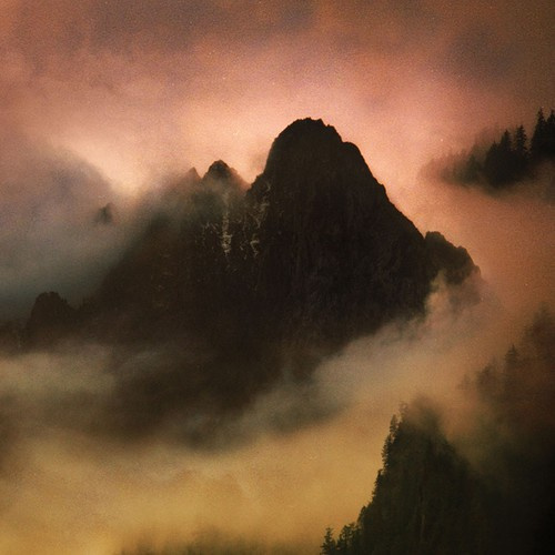 Dead To A Dying World - Elegy (2 Lp Vinyl)