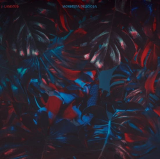 Laneous - Monstera Deliciosa