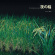 Kudo Reiko - Rice Field Silently Riping In The N Kudo Reiko - Rice Field Silently Riping In The N