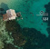 Blandade Artister - Spa (Yann Arthus-Bertrand) Blandade Artister - Spa (Yann Arthus-Bertrand)