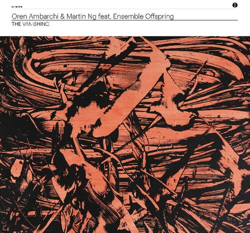 Ambarchi Oren & Martin Ng Feat. Ens - Vanishing