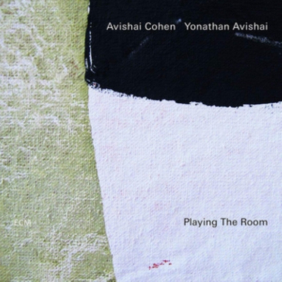 Cohen Avishai Avishai Yonathan - Playing The Room