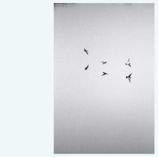 Barkley Kirk - Landscapes