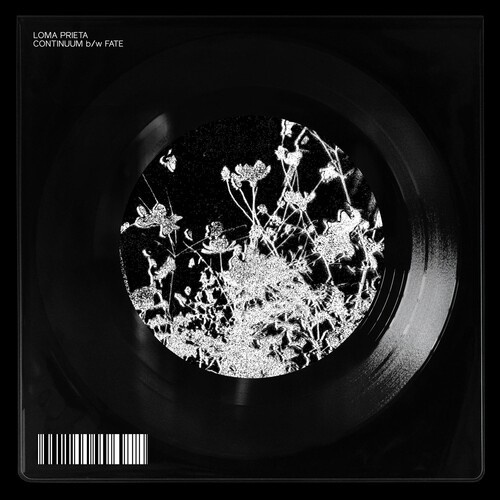 Loma Prieta - Continuum B/W Fate