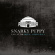 Snarky Puppy - Live At Royal Albert Hall Snarky Puppy - Live At Royal Albert Hall