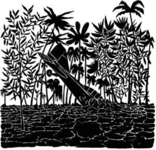 Capitol K - Birdtrapper