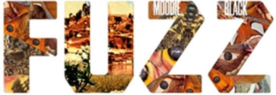 Moodie Black - Fuzz