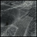 Saturnalia Temple - To The Other Saturnalia Temple - To The Other