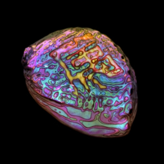 Ian Chang - Belonging