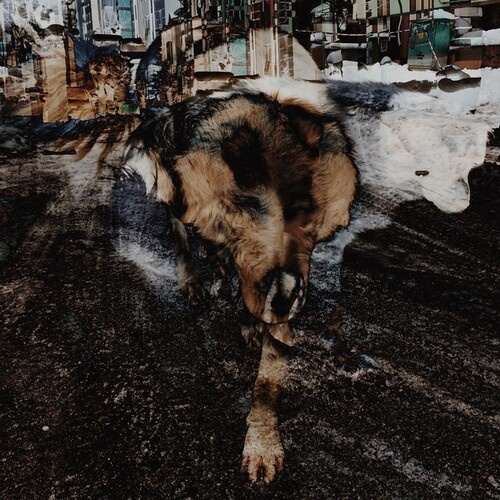 Joe Volk + Naiare - Primitive Energetics