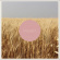 Dawson Michael Scott - Nowhere, Middle Of (Clear Vinyl) Dawson Michael Scott - Nowhere, Middle Of (Clear Vinyl)